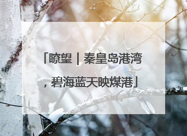 瞭望｜秦皇岛港湾，碧海蓝天映煤港